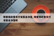 哪里提前看支付宝基金净值_哪里提前看支付宝基金净值呢