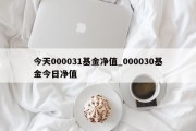 今天000031基金净值_000030基金今日净值