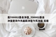 是590002基金净值_590002基金净值查询今天最新净值今天净值 百度