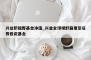 兴业新视野基金净值_兴业全球视野股票型证券投资基金