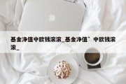 基金净值中欧钱滚滚_基金净值` 中欧钱滚滚_