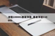 净值100001基金净值_基金净值110009