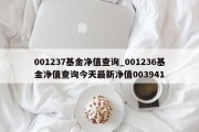 001237基金净值查询_001236基金净值查询今天最新净值003941