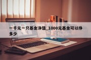 一千元一只基金净值_1000元基金可以挣多少