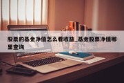 股票的基金净值怎么看收益_基金股票净值哪里查询