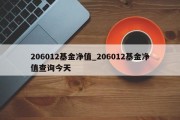 206012基金净值_206012基金净值查询今天