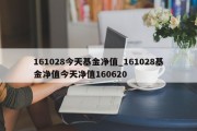 161028今天基金净值_161028基金净值今天净值160620