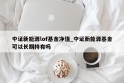 中证新能源lof基金净值_中证新能源基金可以长期持有吗