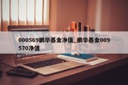 000569鹏华基金净值_鹏华基金009570净值