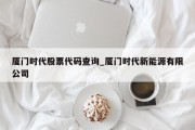 厦门时代股票代码查询_厦门时代新能源有限公司