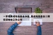 一季报集成电路基金净值_集成电路基金二期投资哪些上市公司