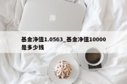 基金净值1.0563_基金净值10000是多少钱