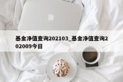 基金净值查询202103_基金净值查询202009今日