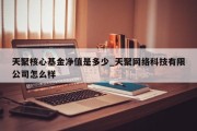 天聚核心基金净值是多少_天聚网络科技有限公司怎么样