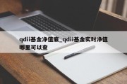 qdii基金净值底_qdii基金实时净值哪里可以查