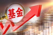 浙商元丰债券基金净值(浙江丰元企业管理有限公司)