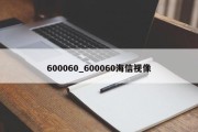 600060_600060海信视像