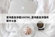 查询基金净值160706_查询基金净值农银中小盘