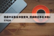 德盛中证基金净值查询_德盛精选基金净值257020