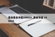 基金基金净值100029_基金净值 100029