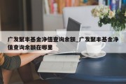 广发聚丰基金净值查询余额_广发聚丰基金净值查询余额在哪里