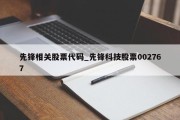 先锋相关股票代码_先锋科技股票002767