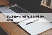 基金净值160311查询_基金净值查询163001