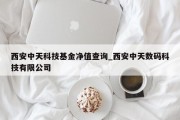 西安中天科技基金净值查询_西安中天数码科技有限公司