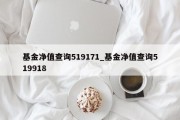 基金净值查询519171_基金净值查询519918