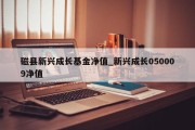 磁县新兴成长基金净值_新兴成长050009净值