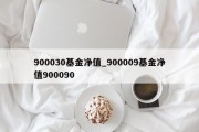 900030基金净值_900009基金净值900090