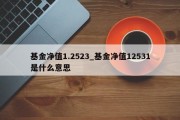 基金净值1.2523_基金净值12531是什么意思