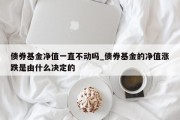 债券基金净值一直不动吗_债券基金的净值涨跌是由什么决定的