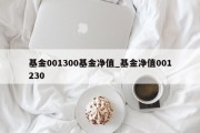 基金001300基金净值_基金净值001230