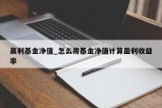 赢利基金净值_怎么用基金净值计算盈利收益率