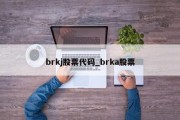 brkj股票代码_brka股票