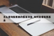 怎么查询股票里的基金净值_如何查看股票基金