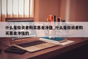 什么是投资者购买基金净值_什么是投资者购买基金净值的