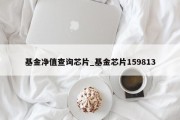 基金净值查询芯片_基金芯片159813