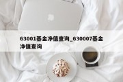 63001基金净值查询_630007基金净值查询