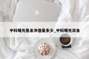 中科曙光基金净值是多少_中科曙光资金