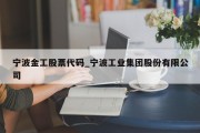 宁波金工股票代码_宁波工业集团股份有限公司