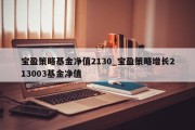 宝盈策略基金净值2130_宝盈策略增长213003基金净值