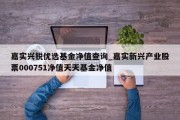 嘉实兴锐优选基金净值查询_嘉实新兴产业股票000751净值天天基金净值