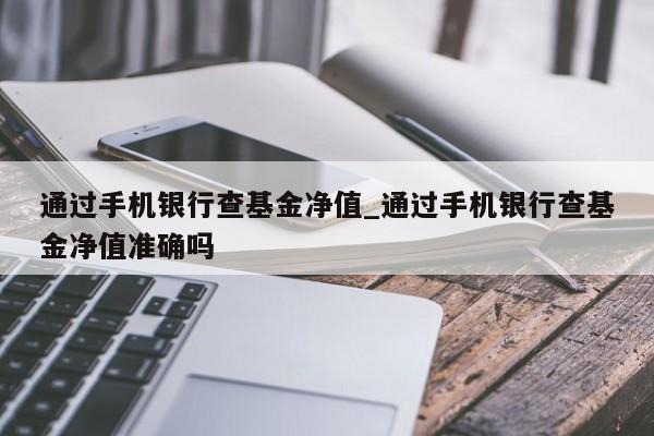 通过手机银行查基金净值_通过手机银行查基金净值准确吗