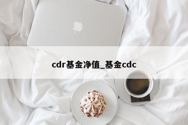 cdr基金净值_基金cdc