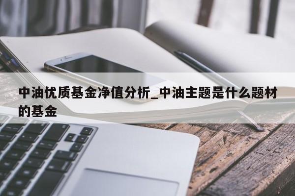 中油优质基金净值分析_中油主题是什么题材的基金