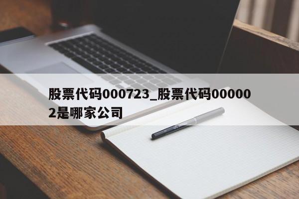 股票代码000723_股票代码000002是哪家公司