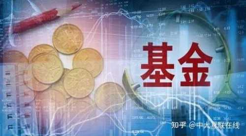 怎么看基金净值多少元宝(怎么看基金净值多少元宝啊)