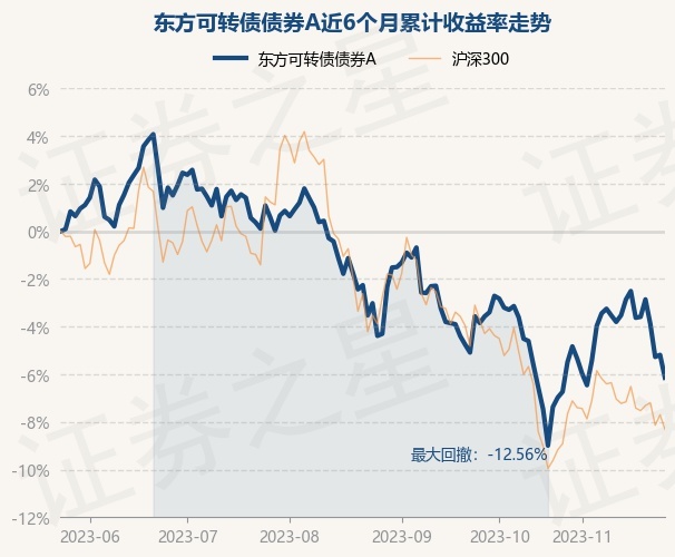 基金净值涨幅依据什么(基金净值涨幅依据什么规定)